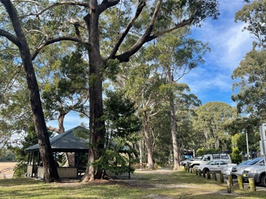 Moonee Beach Playground