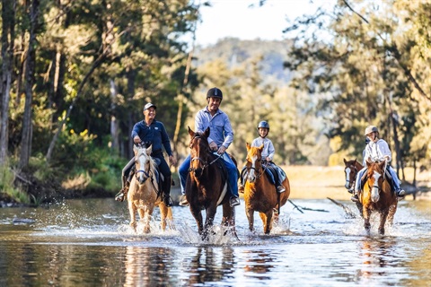 Horse-riding-HWH-Stables.jpg